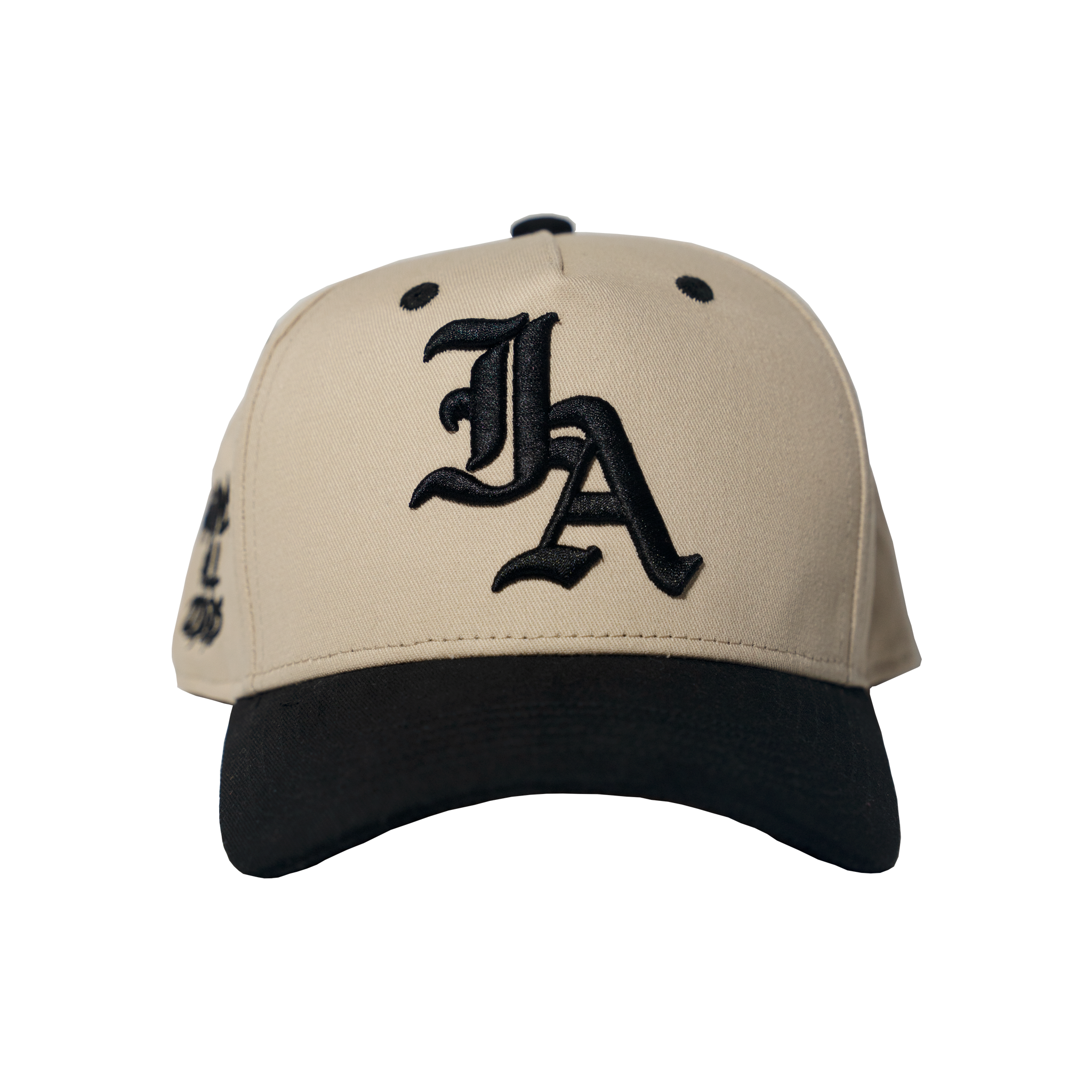IA PREMIUM ESSENTIAL SNAPBACK-2 Tone